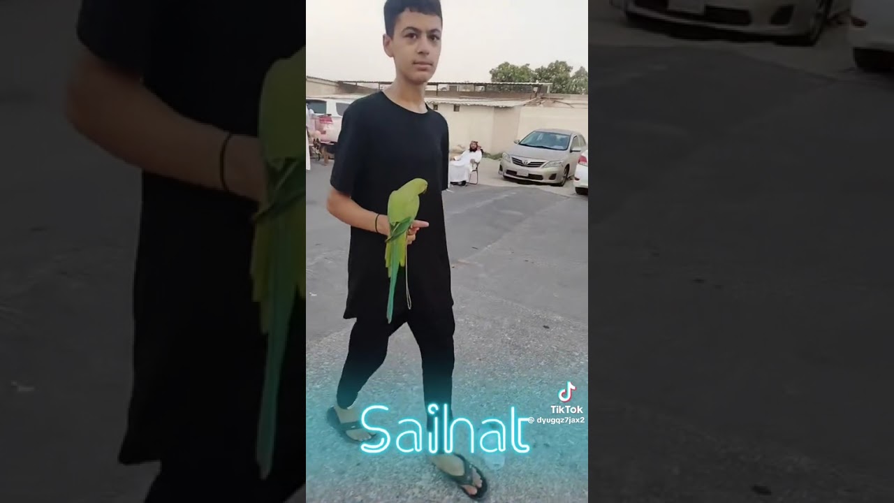 جولة سريعة على سوق سيهات للطيور