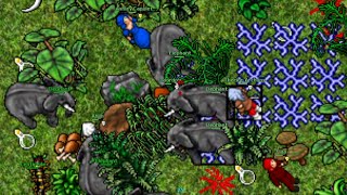 (PK) The Last Thing before Death was an Elephant Trap! (Valoria 2006 - RL Tibia 7.6) Ixiordois