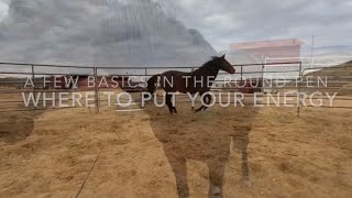 Round pen basics where I put my energy.