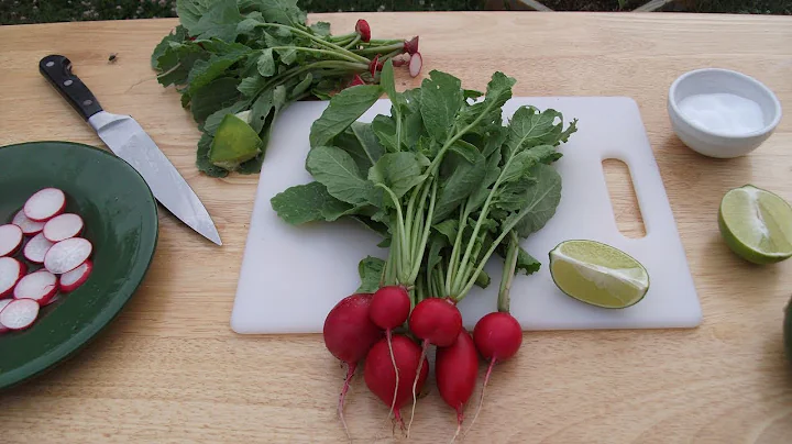 QUICK & FRESH RADISHES RECIPE