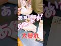 【のらねこ拾った】時の病院。。。
