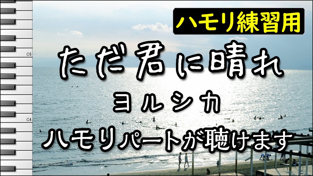 花に雨を 君に歌を The Binary ハモリ練習用 歌詞付き音程バー有り Youtube