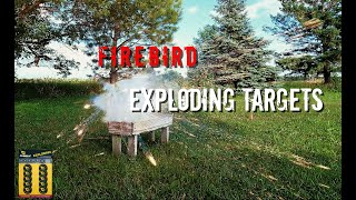 Firebird Exploding Targets/ Pellet Guns/ Shotguns/ Bows