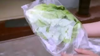 vegetables flow wrapping pack equipment automatic film wrap machine