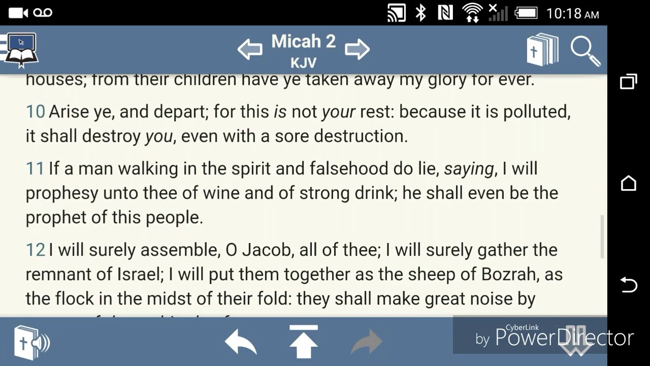 PRAYING FOR FEW DAYS 7 THE TIMES OF THE CHASED ROE YouTube praying-for-few-days-7-the-times-of-the-chased-roe-youtube