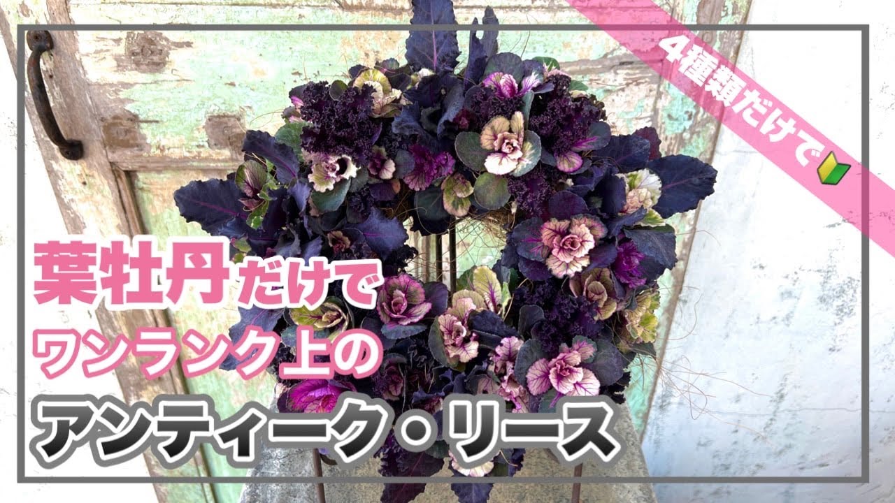 4種類の葉牡丹だけでリースを作ったら簡単なのにお洒落すぎた 寄せ植え道場 Youtube