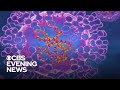 CDC sees downward trend in monkeypox cases - CBS Evening News