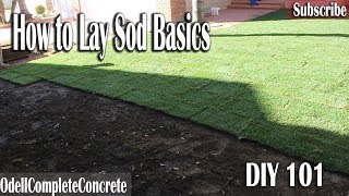 How to lay Sod 101 DIY