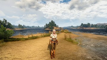 The Witcher 3 | Debug Console Enabler | Fun