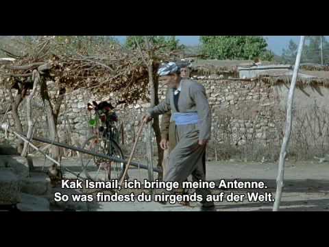 Schildkröten Können Fliegen Schildkröten Können Fliegen