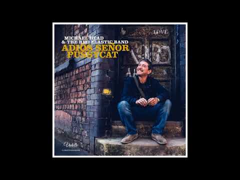 Michael Head The Red Elastic Band Adios Señor Pussycat 2017 Full Album