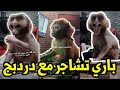 شاهد جديد ستوريات دردبج و باري تيوب دردبج قرر يسكر قناة باري تيوب تشاجرو لايفوتك