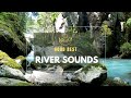 Relaxing Forest River Sound in High Quality Audio - Escape to Nature