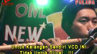 New PALADA - Terluka Dwi Ratna Live in Ds. Alun - Alun Prambon