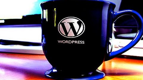 Файл robots txt для Wordpress