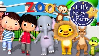 Zoo Song | Animal Song | Plus Lots More Nursery Rhymes | From LittleBabyBum!