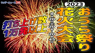 ㉜新作!マスカット❣️華切子❣️珊瑚の花❣️祭囃子❣️発根済! メルカリ便込 mqdefault.jpg