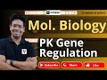 Prokaryotes Gene Regulation | Molecular Biology | Virendra Singh | CSIR | GATE | DBT | ICMR | CUET |