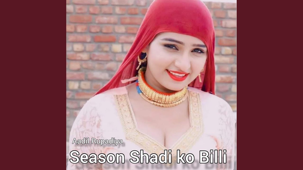 Season Shadi Ko billi