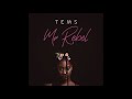 Tems - Mr Rebel