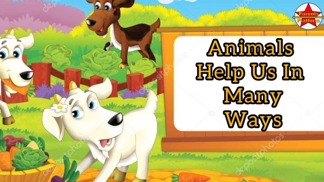 Animals Help Us In Many Ways Useful Animals Parents Platform YouTube Animals Help Us In Many Ways Useful Animals Parents Platform YouTube