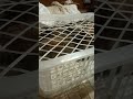 12 октября 2025 г.