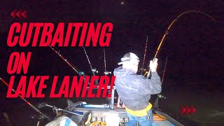 Surprise catch while cut baiting on Lake Lanier!
