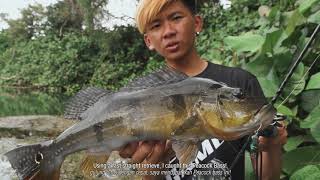 Zerek Metal Chip Hits A Pea B