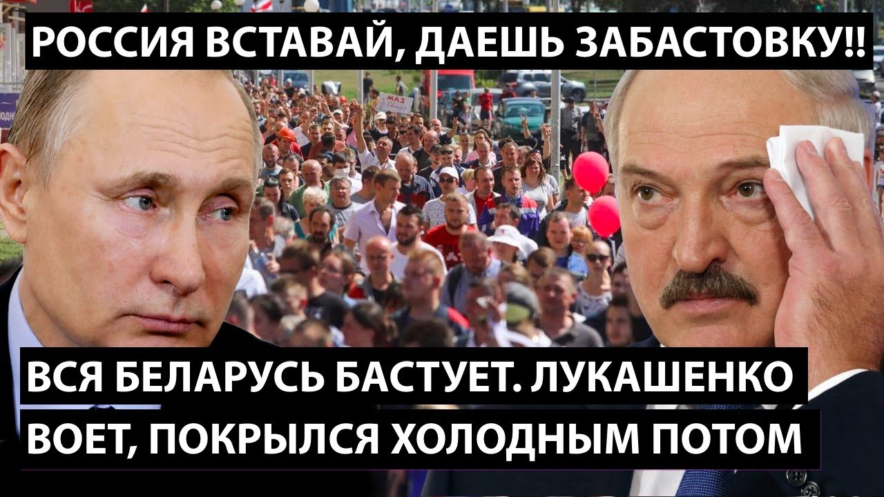 Беларусь бастует. Лукашенко воет. Путин покрылся холодным потом. Россия вставай, даешь забастовку!!