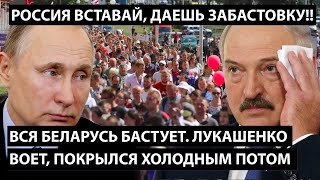 Беларусь бастует. Лукашенко воет. Путин покрылся холодным потом. Россия вставай, даешь забастовку!!