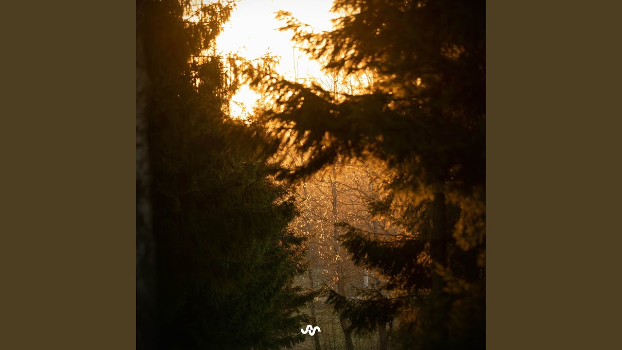 Guarda First Sunlight su YouTube Guarda First Sunlight su YouTube