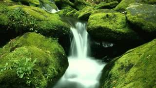 FROM DELUSION TO WISDOM - AWAKENING FROM THE DREAM  1 of 6  ©2012 GandharvaMusic-LZWG  GM-AVP
