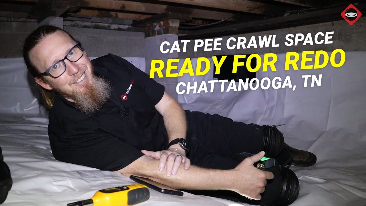 Cat Pee Smell, Atmox System, and More Crawl Space Redo Chattanooga