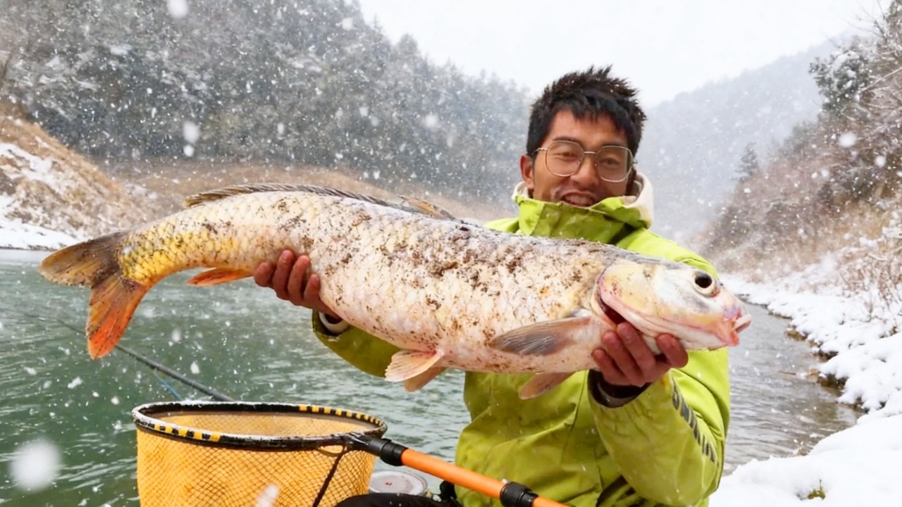 探钓水库垂钓巨物！气温骤降，小宋冒着寒冷钓起千斤翘嘴，终于有肉吃了！【小宋野钓】