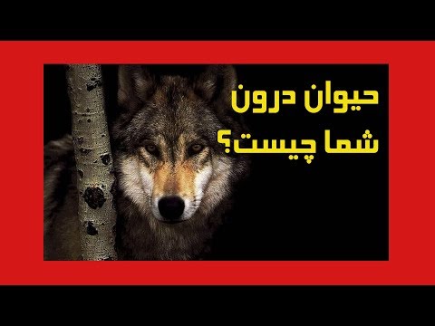 تصویری: جانور درون من