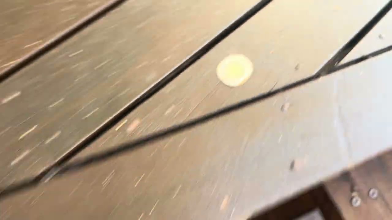 Final tweaks - Forest Glen