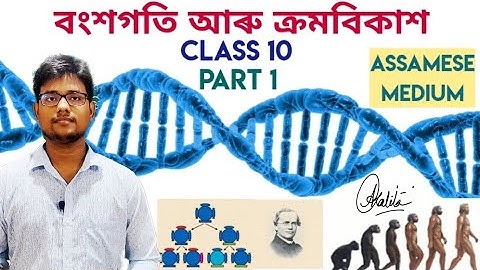 Heredity and Evolution|Class10|Assamese medium|Part1|বংশগতি আৰু ক্ৰমবিকাশ।দশম শ্ৰেণী।খণ্ড১