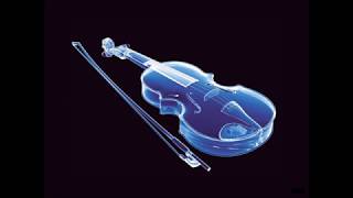 Karl Jenkins - Palladio Remix