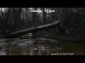 سورة يوسف بصوت ياسر الدوسري بدون اعلانات 