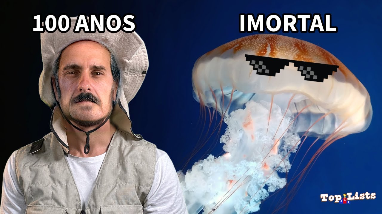 Os 10 ANIMAIS Mais Longevos Do Mundo