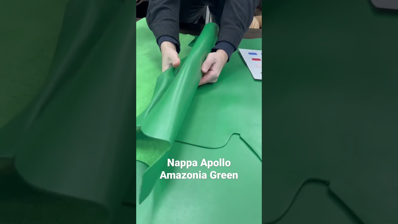 Nappa Apollo, Amazonia Green 