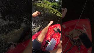 TOP CATCH OF 2021 | Massachusetts Fishing (10/10) #shorts