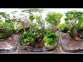 360 Peek Inside Parker Aviary