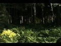 НЛО, Необъяснимое, непознанное