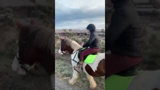 Horseriding in December! by James Tonery Equestrian 135 views 3 months ago 19 minutes