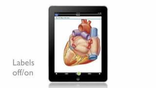Gray's Anatomy for Students for iPad™ screenshot 1