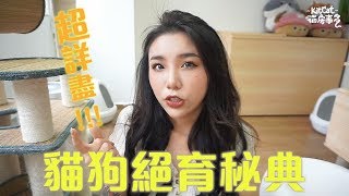 貓狗絕育疑難 超詳盡解說【獸醫助護話您知】KitCat貓貓教學