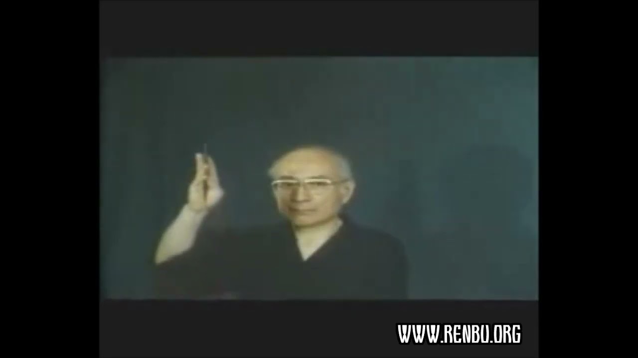 Negishi ryu shurikenjutsu