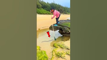 snake trapped in a net and taken out from river 😱😨 #shorts #ytshots #shortsfeed #trending