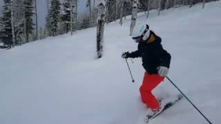 20170106 Revelstoke(2)